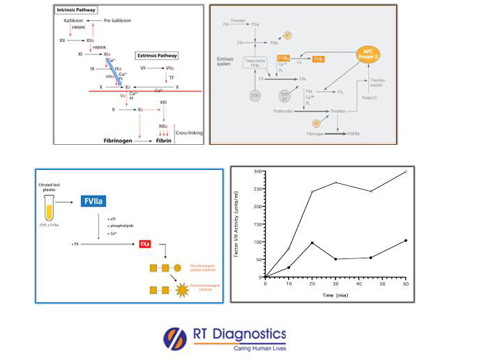 Factor VIII Activity | RT Diagnostics